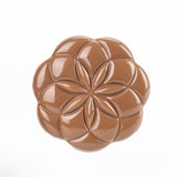 Martellato Chokoladeform -  Flower Bar 21MA2030