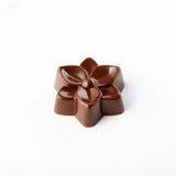 Pavoni Chokoladeform - Julestjerne