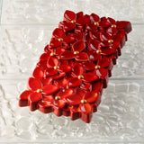 Pavoni Chokoladeform - Bouquet Julestjerne Plade