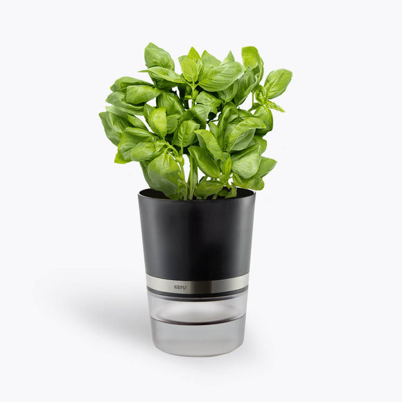 GEFU Krydderurte potte BOTANICO